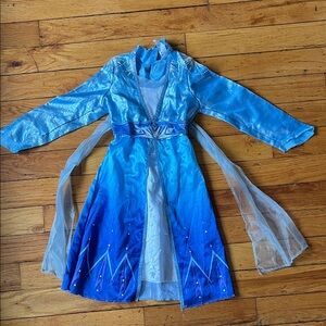 Disney Blue and Silver Princess Costume